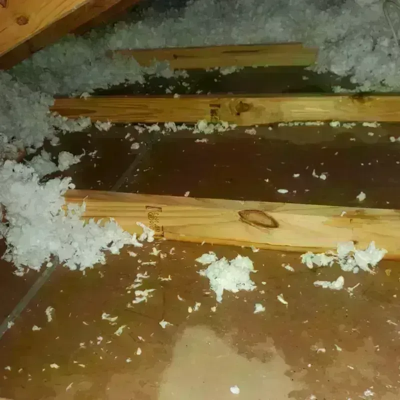 Attic Water Damage in Fort Gibson, OK