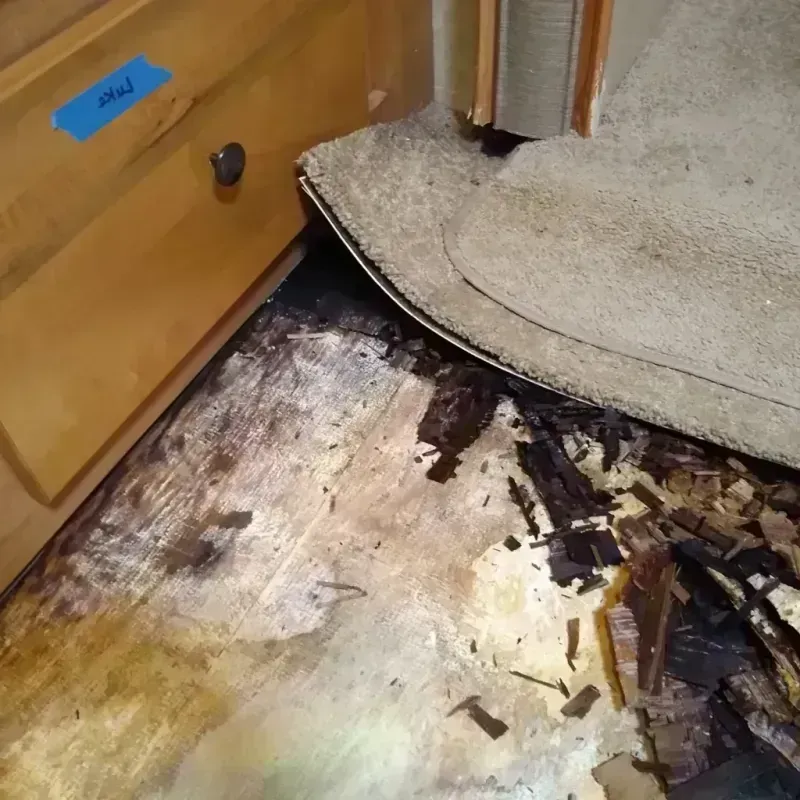 Best Wood Floor Water Damage Service in Fort Gibson, OK